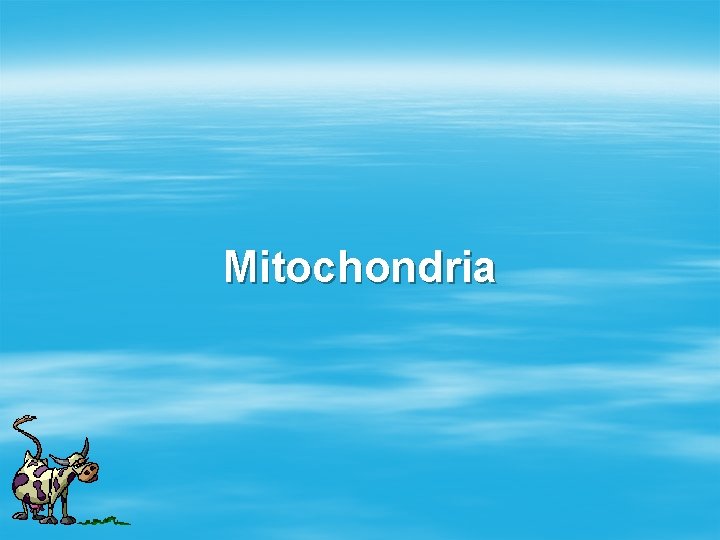 Mitochondria 