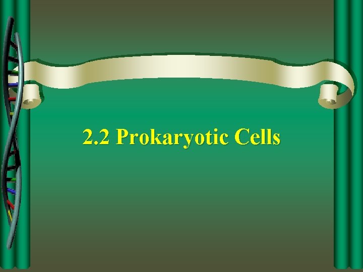 2. 2 Prokaryotic Cells 