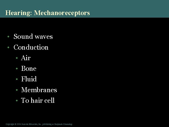 Hearing: Mechanoreceptors • Sound waves • Conduction • Air • Bone • Fluid •