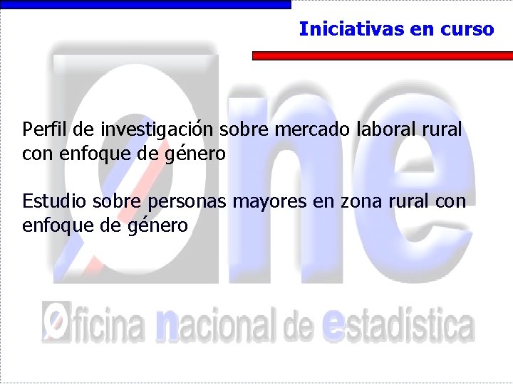 Iniciativas en curso Perfil de investigación sobre mercado laboral rural con enfoque de género