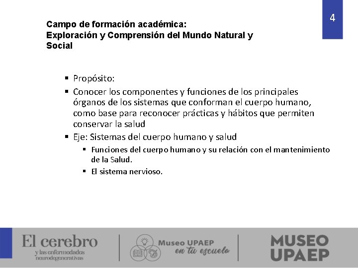 Campo de formación académica: Exploración y Comprensión del Mundo Natural y Social 4 §