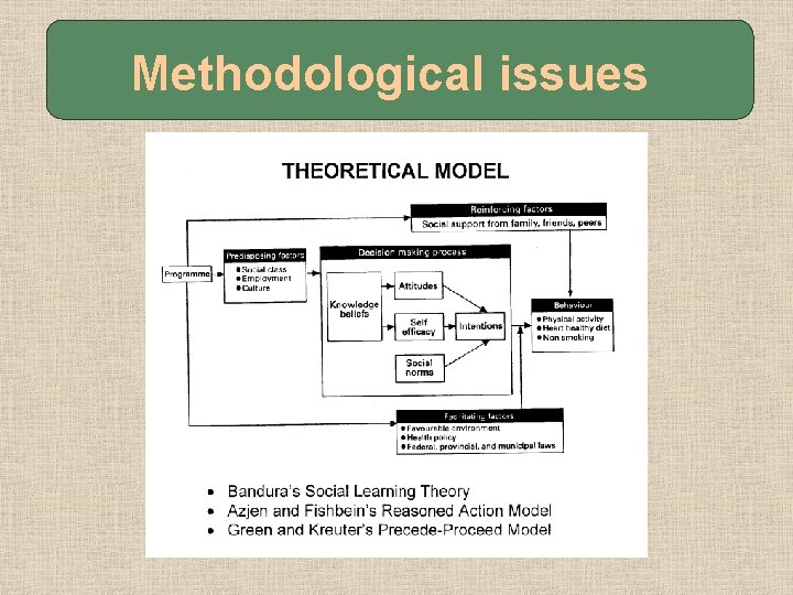 Methodological issues 