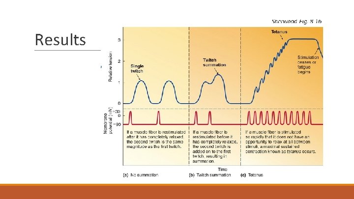 Results ● Because of low operational frequencies; ○ type: red and Twitch white fibers