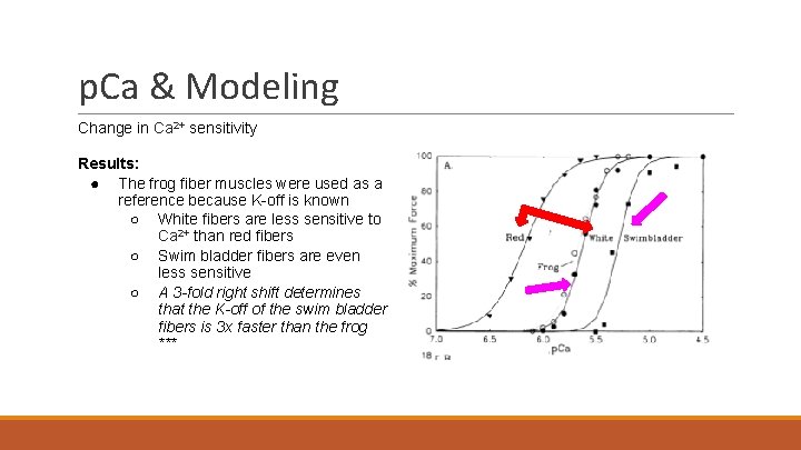 p. Ca & Modeling Change in Ca 2+ sensitivity Results: ● The frog fiber