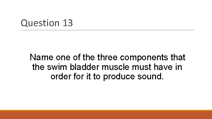 Question 13 Name one of the three components that the swim bladder muscle must