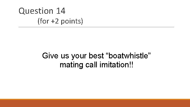 Question 14 (for +2 points) Give us your best “boatwhistle” mating call imitation!! 