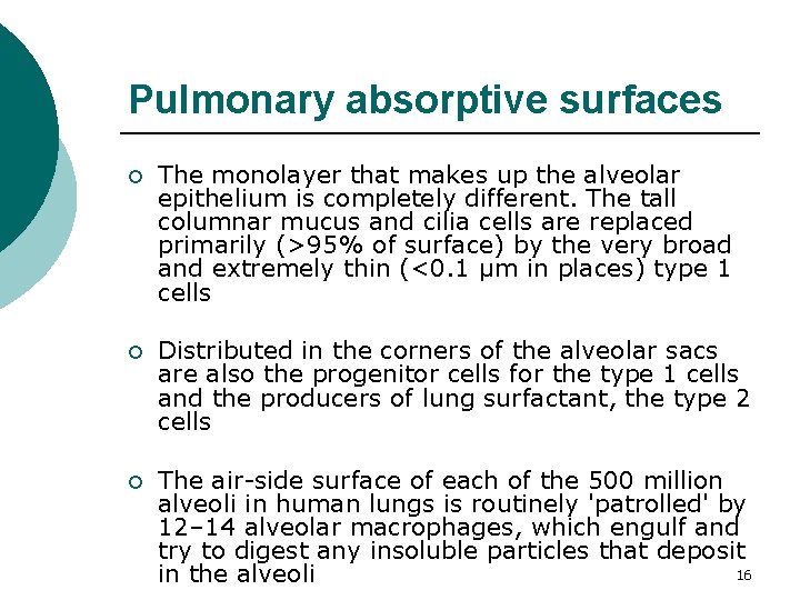 Pulmonary absorptive surfaces ¡ The monolayer that makes up the alveolar epithelium is completely