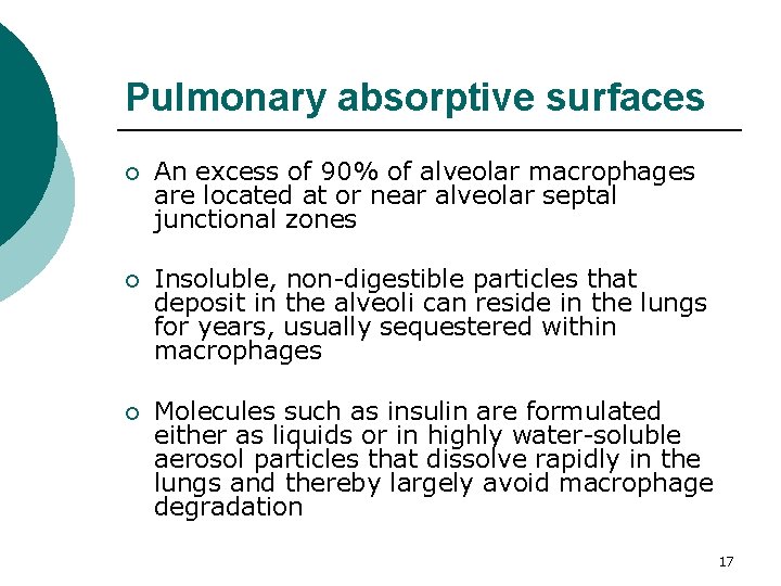 Pulmonary absorptive surfaces ¡ An excess of 90% of alveolar macrophages are located at