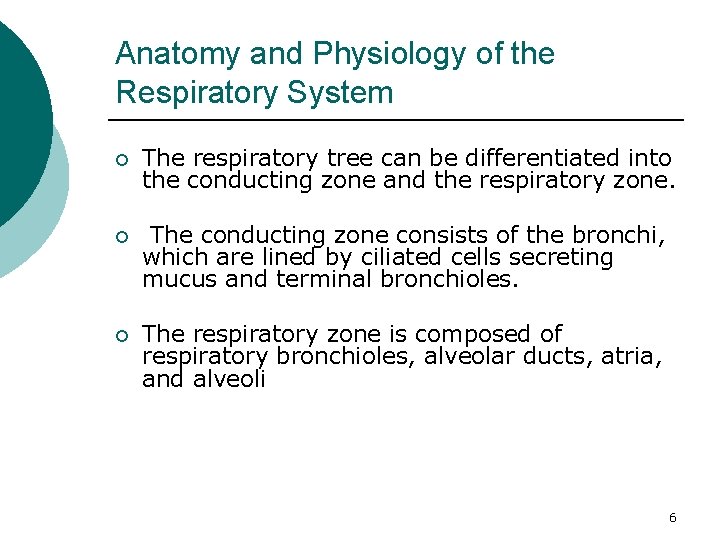 Anatomy and Physiology of the Respiratory System ¡ The respiratory tree can be differentiated