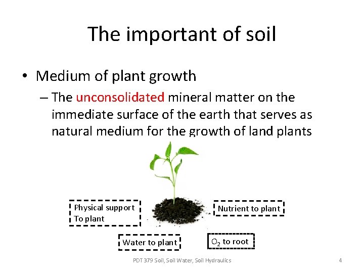 The important of soil • Medium of plant growth – The unconsolidated mineral matter