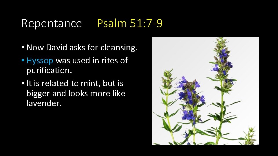 Repentance Psalm 51: 7 -9 • Now David asks for cleansing. • Hyssop was Repentance Psalm 51: 7 -9 • Now David asks for cleansing. • Hyssop was