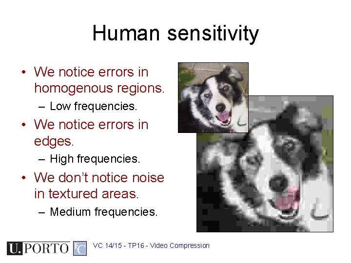 Human sensitivity • We notice errors in homogenous regions. – Low frequencies. • We