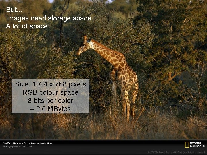 But. . . Images need storage space. . . A lot of space! Size: