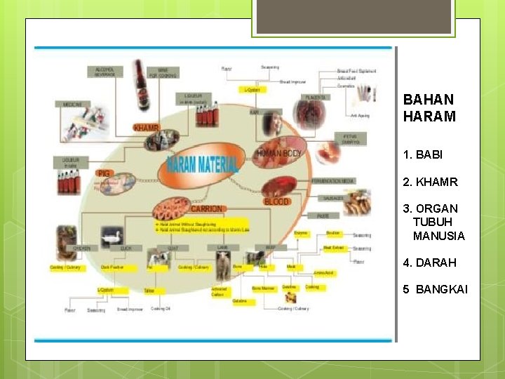 BAHAN HARAM 1. BABI 2. KHAMR 3. ORGAN TUBUH MANUSIA 4. DARAH 5 BANGKAI