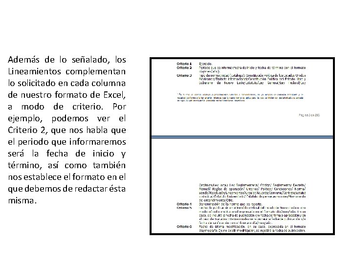 Además de lo señalado, los Lineamientos complementan lo solicitado en cada columna de nuestro