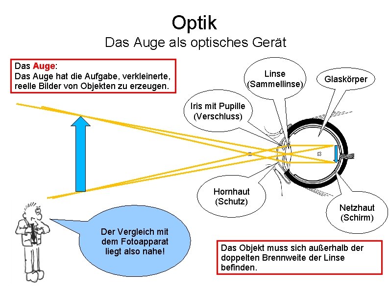 Optik Das Auge als optisches Gerät Das Auge: Das Auge hat die Aufgabe, verkleinerte,