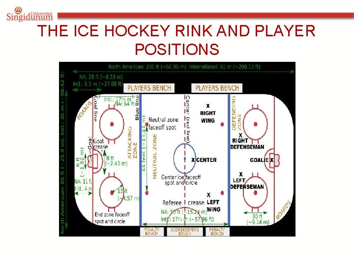 THE ICE HOCKEY RINK AND PLAYER POSITIONS 