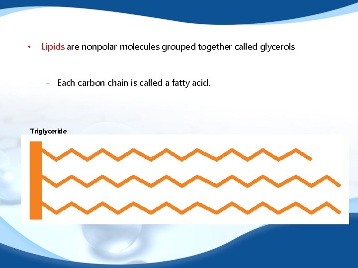  • Lipids are nonpolar molecules grouped together called glycerols – Each carbon chain