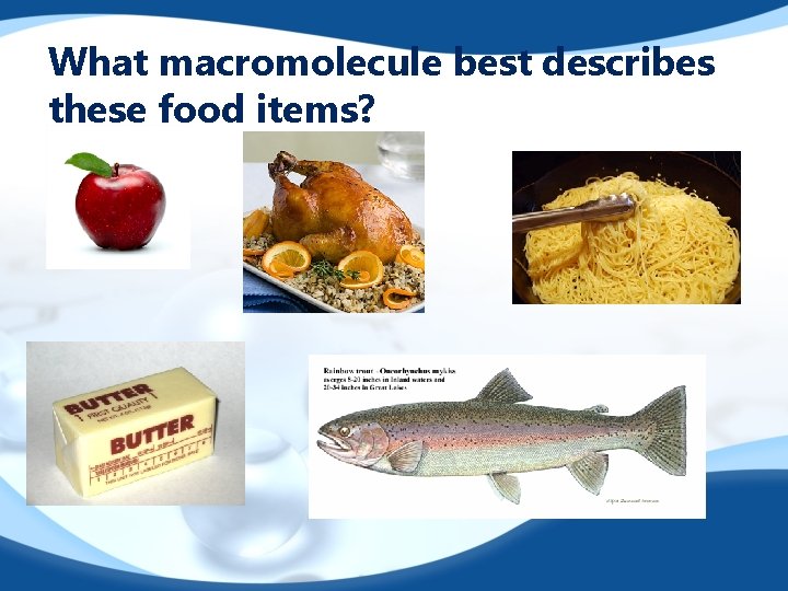 What macromolecule best describes these food items? 