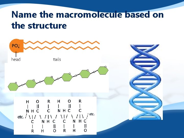 Name the macromolecule based on the structure 