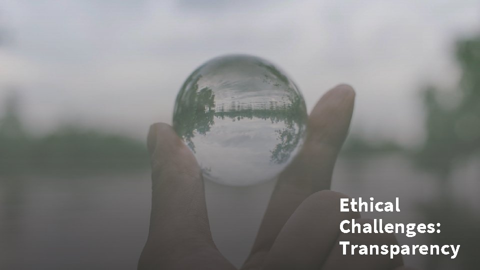 Ethical Challenges: Transparency 