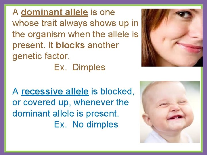 A dominant allele is one whose trait always shows up in the organism when