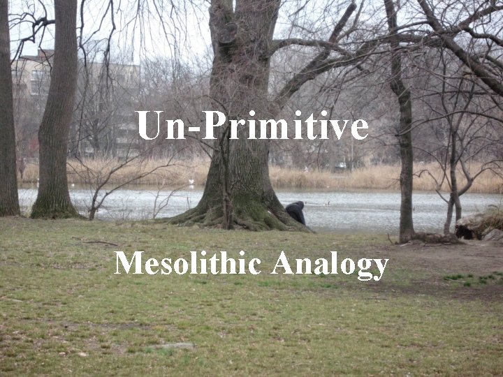Un-Primitive Mesolithic Analogy 