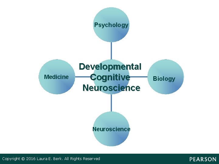 Psychology Medicine Developmental Cognitive Neuroscience Copyright © 2016 Laura E. Berk. All Rights Reserved