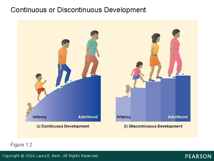Continuous or Discontinuous Development Figure 1. 2 Copyright © 2016 Laura E. Berk. All