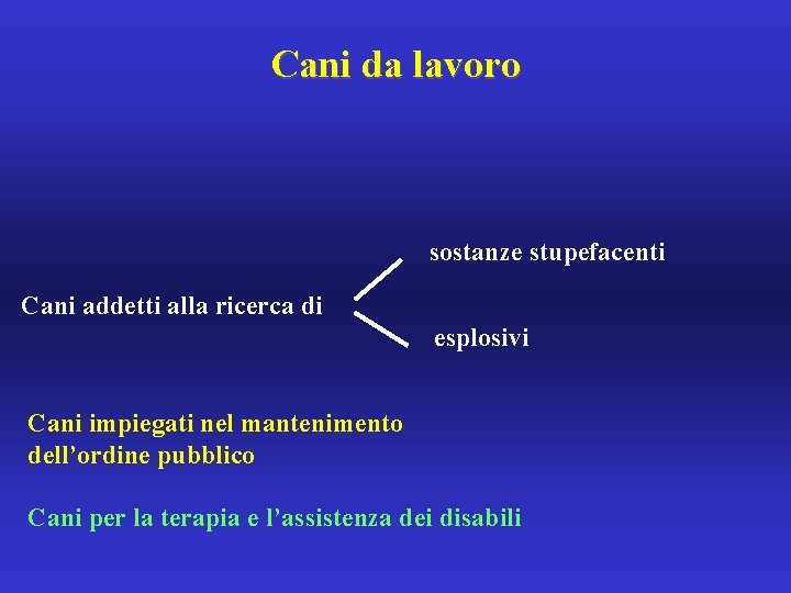 Cani da lavoro sostanze stupefacenti Cani addetti alla ricerca di esplosivi Cani impiegati nel