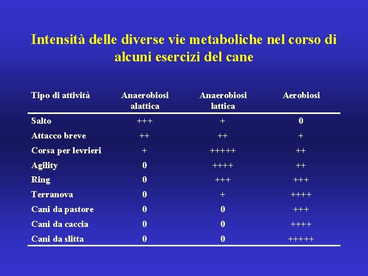 Intensità delle diverse vie metaboliche nel corso di alcuni esercizi del cane Tipo di