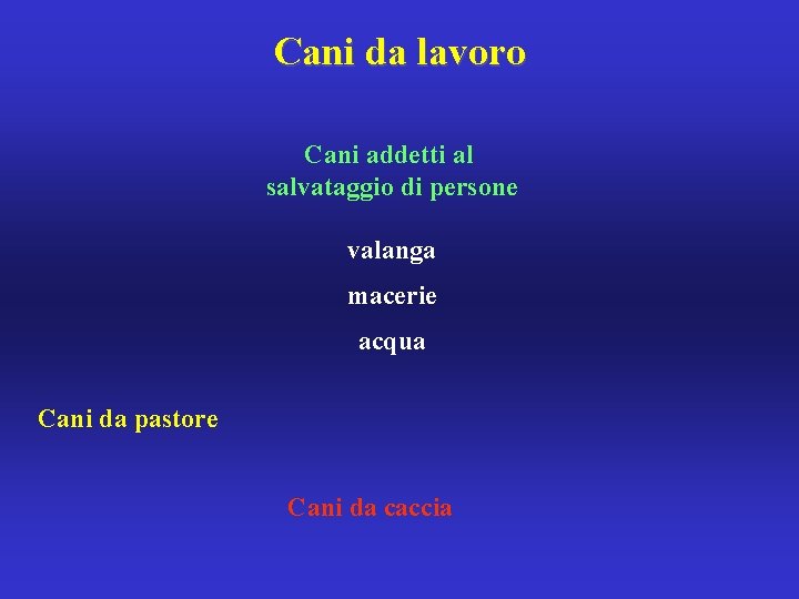 Cani da lavoro Cani addetti al salvataggio di persone valanga macerie acqua Cani da