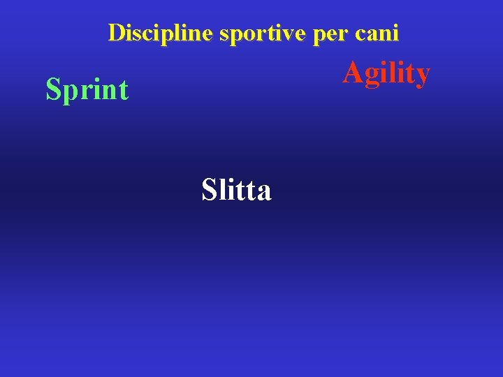 Discipline sportive per cani Agility Sprint Slitta 