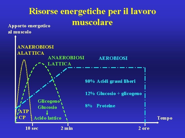 Risorse energetiche per il lavoro muscolare Apporto energetico al muscolo ANAEROBIOSI ALATTICA ANAEROBIOSI LATTICA