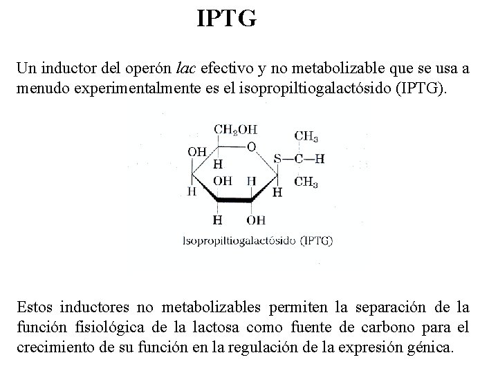 IPTG Un inductor del operón lac efectivo y no metabolizable que se usa a