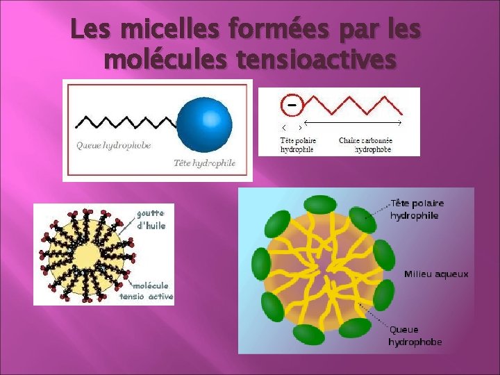 Les micelles formées par les molécules tensioactives Les micelles formées par les molécules tensioactives