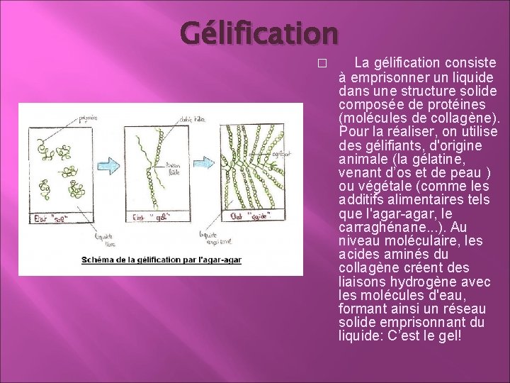 Gélification � La gélification consiste à emprisonner un liquide dans une structure solide composée Gélification � La gélification consiste à emprisonner un liquide dans une structure solide composée