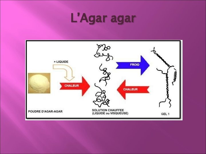 L’Agar agar L’Agar agar
