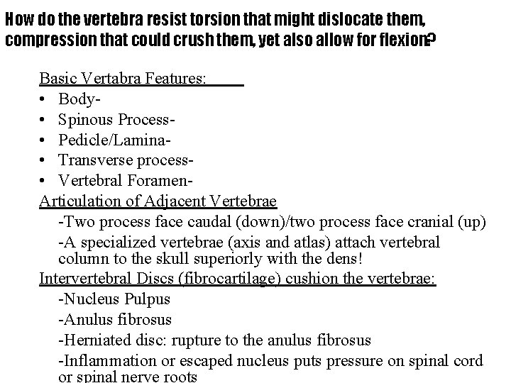 How do the vertebra resist torsion that might dislocate them, compression that could crush