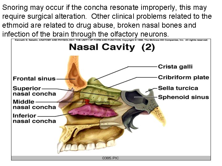 Snoring may occur if the concha resonate improperly, this may require surgical alteration. Other