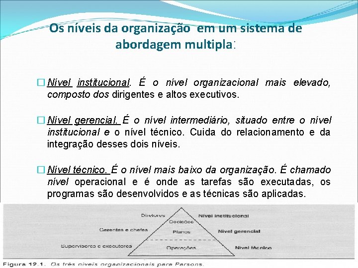 Os níveis da organização em um sistema de abordagem multipla: � Nível institucional. É