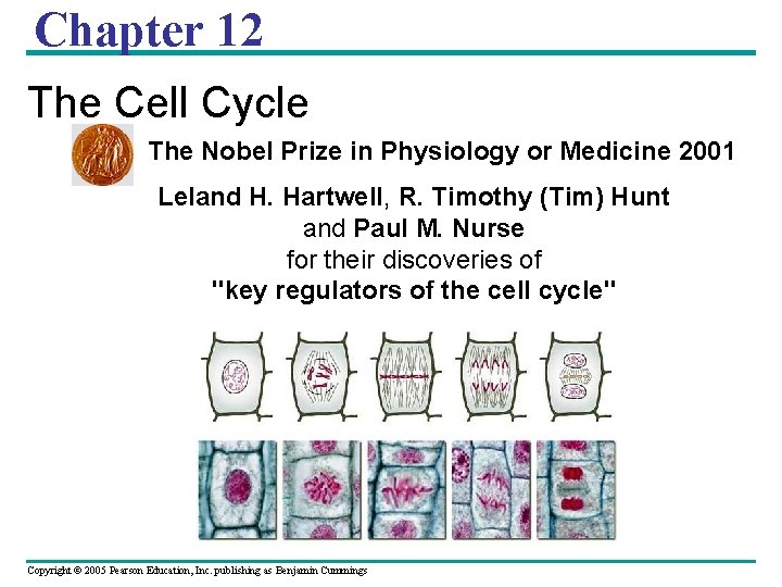 Chapter 12 The Cell Cycle The Nobel Prize in Physiology or Medicine 2001 Leland