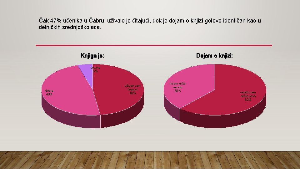 Čak 47% učenika u Čabru uživalo je čitajući, dok je dojam o knjizi gotovo