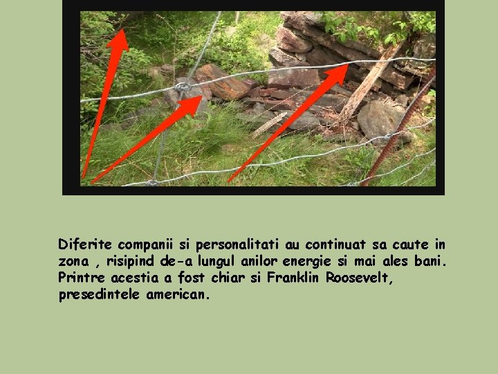 Diferite companii si personalitati au continuat sa caute in zona , risipind de-a lungul Diferite companii si personalitati au continuat sa caute in zona , risipind de-a lungul