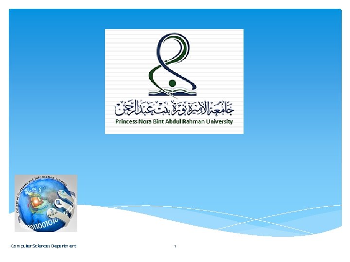 Computer Sciences Department 1 