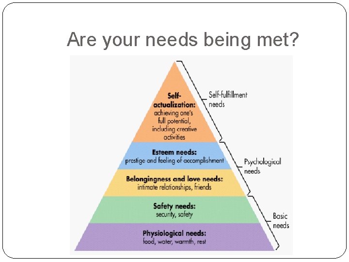 Are your needs being met? Are your needs being met?