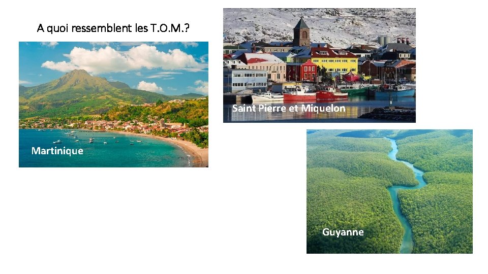 A quoi ressemblent les T. O. M. ? Saint Pierre et Miquelon Martinique Guyanne