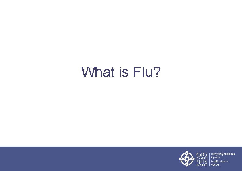 What is Flu? 