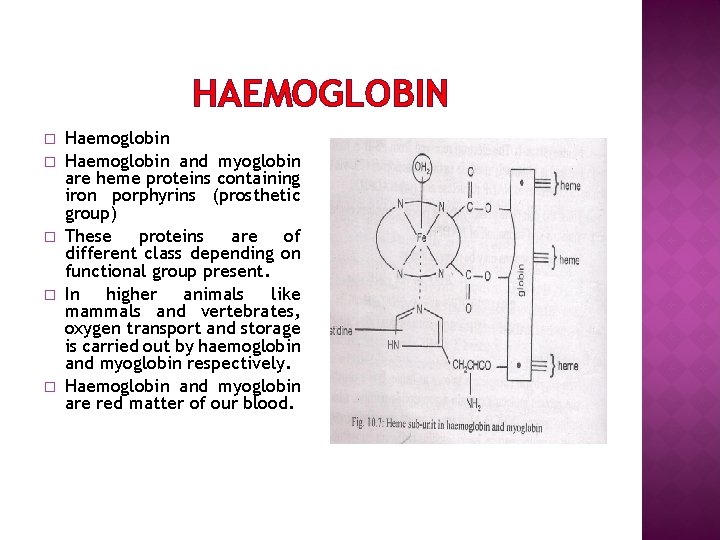 HAEMOGLOBIN � � � Haemoglobin and myoglobin are heme proteins containing iron porphyrins (prosthetic