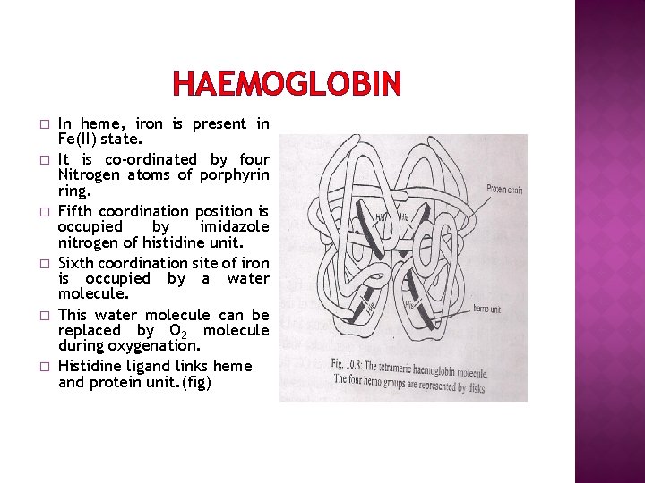 HAEMOGLOBIN � � � In heme, iron is present in Fe(II) state. It is